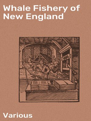 cover image of Whale Fishery of New England